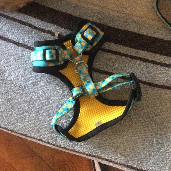 Soapy Moose harness and leash set, EEEEEEEEEUC - Picture 2 of 4
